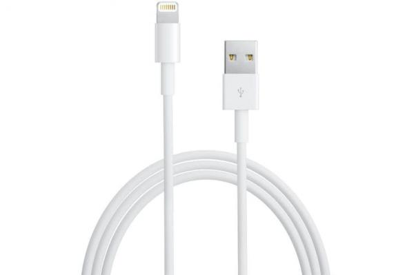 Apple Lightning to USB Cable | 2m