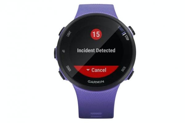 Garmin Forerunner 45S Smart Watch | Small | Iris