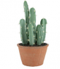 Argos Home Sahara Faux Cactus Pot