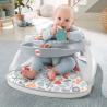 Fisher-Price Sweet Summer Blossoms Sit-Me-Up Floor Seat