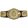 WWE Intercontinental Title Belt