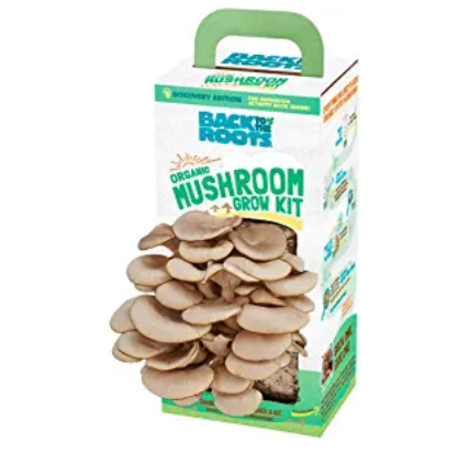 Back to the Roots Organic Mushroom Growing Kit, Harvest Gourmet Oyster Mushrooms In 10 days, Top Gardening Gift, Holiday Gift, & Unique Gift