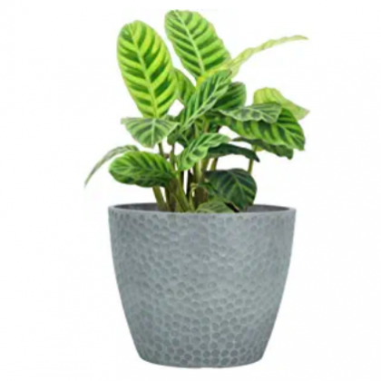 LA JOLIE MUSE 9.4 inch Plant Pot for Indoor and Outdoor Plants, Modern Chic Planter with Honeycomb Pattern,Storm Gray