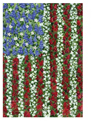 Toland Home Garden Field of Glory 28 x 40 Inch Decorative Floral America Patriotic Flower Summer House Flag