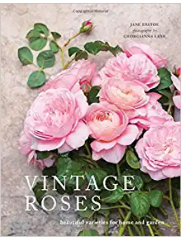 Vintage Roses: Beautiful Varieties for Home and Garden Hardcover – February 7, 2017