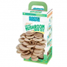Back to the Roots Organic Mushroom Growing Kit, Harvest Gourmet Oyster Mushrooms In 10 days, Top Gar