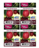 Better Homes and Gardens Fresh Orchard Apples Wax Cubes - 4-Pack