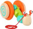 Colourful Pull Along Snail