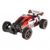 Remote Control 1:20 High Speed Game Champion Buggy