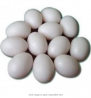 SallyFashion Easter Eggs Wooden Fake Eggs 9Piece -White Color