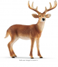 SCHLEICH Wild Life, Animal Figurine, Animal Toys for Boys and Girls 3-8 Years Old, White-Tailed Buck