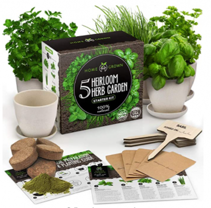 Indoor Herb Garden Starter Kit - Herb Seeds Gardening Kit Planting Pots & Potting Soil - Heirloom & Non GMO - DIY Home Seed Starter Grow Plant Kit (Ba