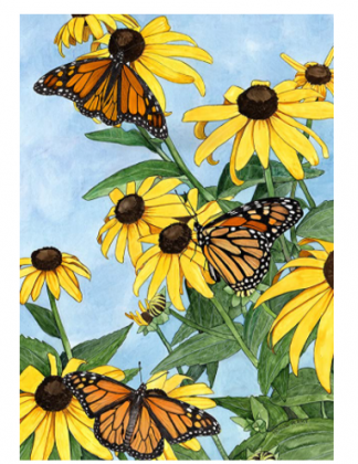 Toland Home Garden Coneflowers and Monarchs 12.5 x 18 Inch Decorative Spring Butterfly Flowers Watercolor Garden Flag