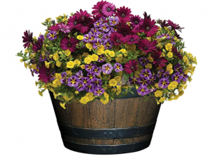 Classic Home and Garden S1027D-037Rnew Whiskey Barrel Planter, 20.5
