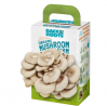 Back to the Roots Organic Mini Mushroom Grow Kit, Harvest Gourmet Oyster Mushrooms In 10 days, Top G