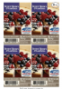 Better Homes and Gardens Wild Berry Cheesecake Wax Cubes