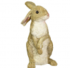 Design Toscano Hopper the Bunny Standing Rabbit Outdoor Garden Statue, 11 Inch, Polyresin