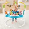 Fisher-Price Colour Climbers Jumperoo