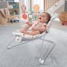 Fisher-Price Sweet Summer Blossoms Baby Bouncer