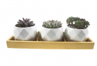 Frespersy Succulent Planter Pot with Bamboo Tray, Small Ceramic Flower Plant Pots Indoor, Home Déco