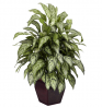 Nearly Natural 6693 Silver Queen with Planter Decorative Silk Plant, Green