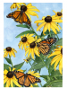 Toland Home Garden Coneflowers and Monarchs 12.5 x 18 Inch Decorative Spring Butterfly Flowers Water