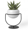 Umbra 1009251-748 Nesta, Table Top or Hanging Modern Planter, Ideal Succulent Plant Holder, White/Bl