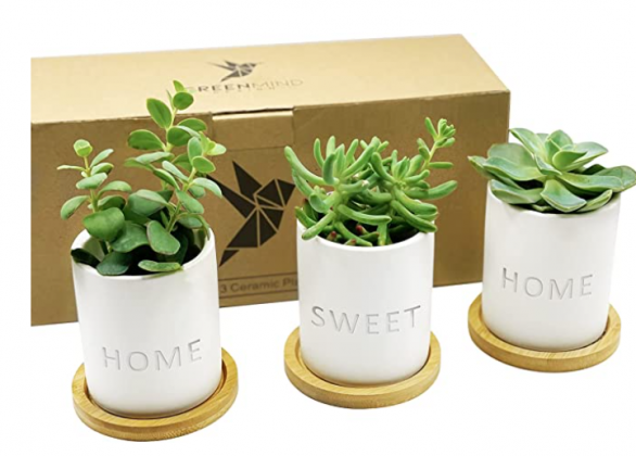 GreenMind Design Home Sweet Home Set Laser Engraved Words - 3 Ceramic Planter Pots w/ Bamboo Tray, 3.5 inch White Mini Succulent Cactus Pot w/ Drainag