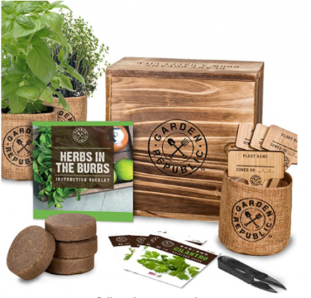 Indoor Herb Garden Starter Kit - Heirloom, Non-GMO Herb Seeds - Basil Thyme Parsley Cilantro Seed, Potting Soil, Pots, Scissors - DIY Grow Kits for Gr