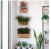 N/V Hanging Planter Boxes with Handmade Linen Rope, Rustic Burnt Wood Flower Pots for Office|Home D
